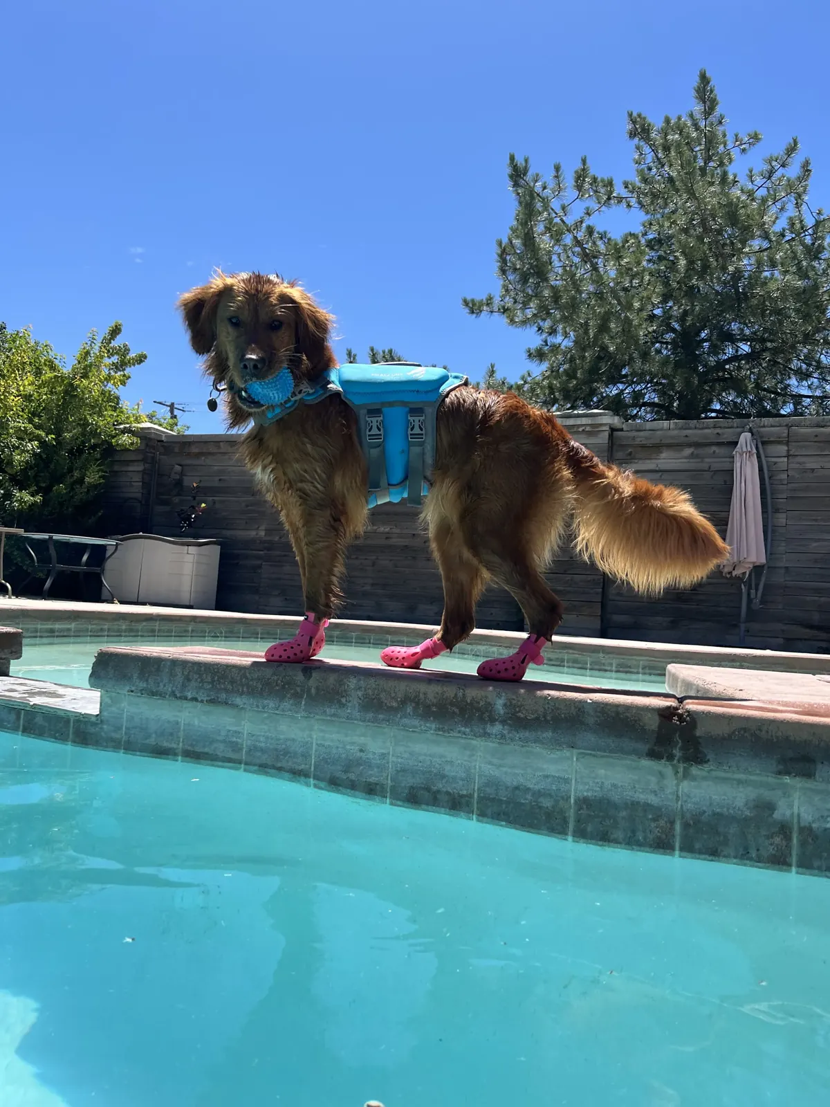 Remi today