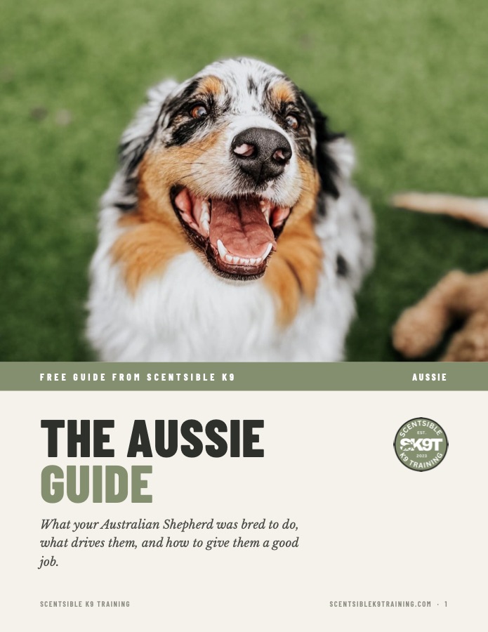 Cover of the free Scentsible K9 Aussie guide
