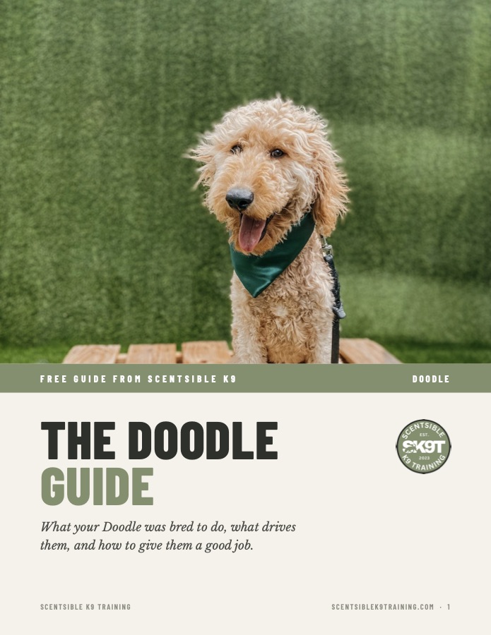 Cover of the free Scentsible K9 Doodle guide