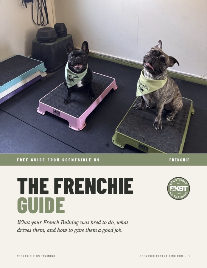 Cover of the free Scentsible K9 Frenchie guide