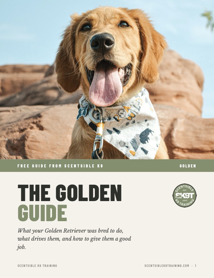 Cover of the free Scentsible K9 Golden guide