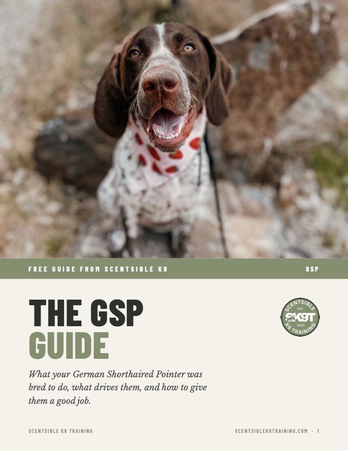 Cover of the free Scentsible K9 GSP guide