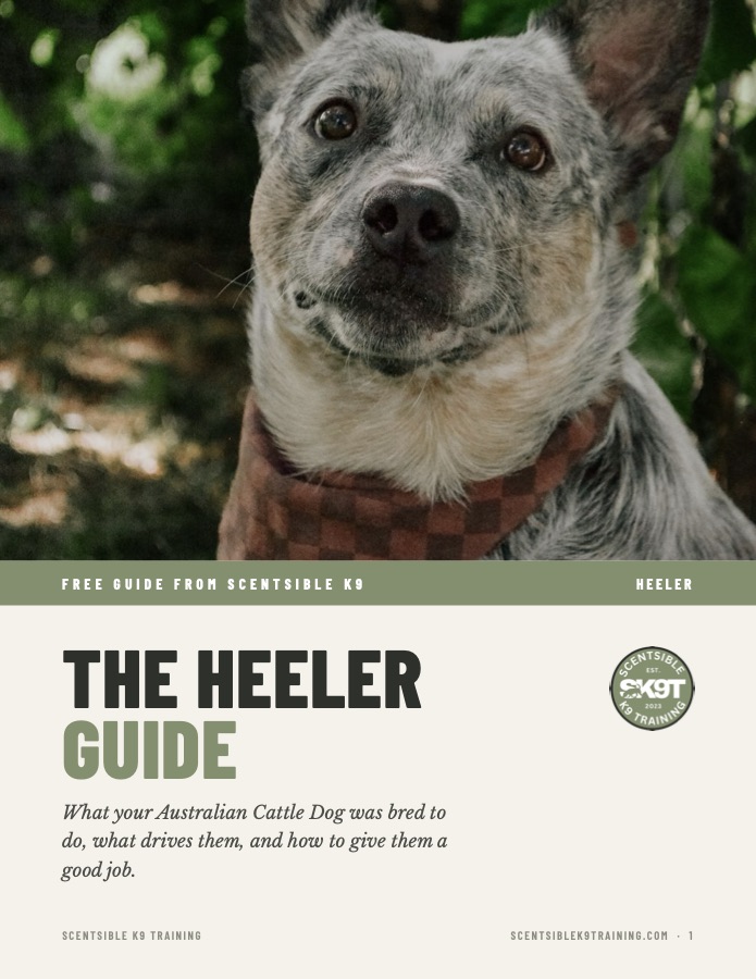 Cover of the free Scentsible K9 Heeler guide