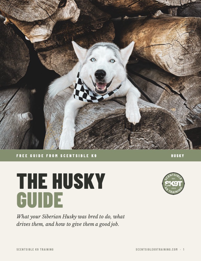 Cover of the free Scentsible K9 Husky guide
