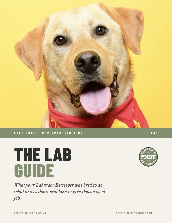 Cover of the free Scentsible K9 Lab guide