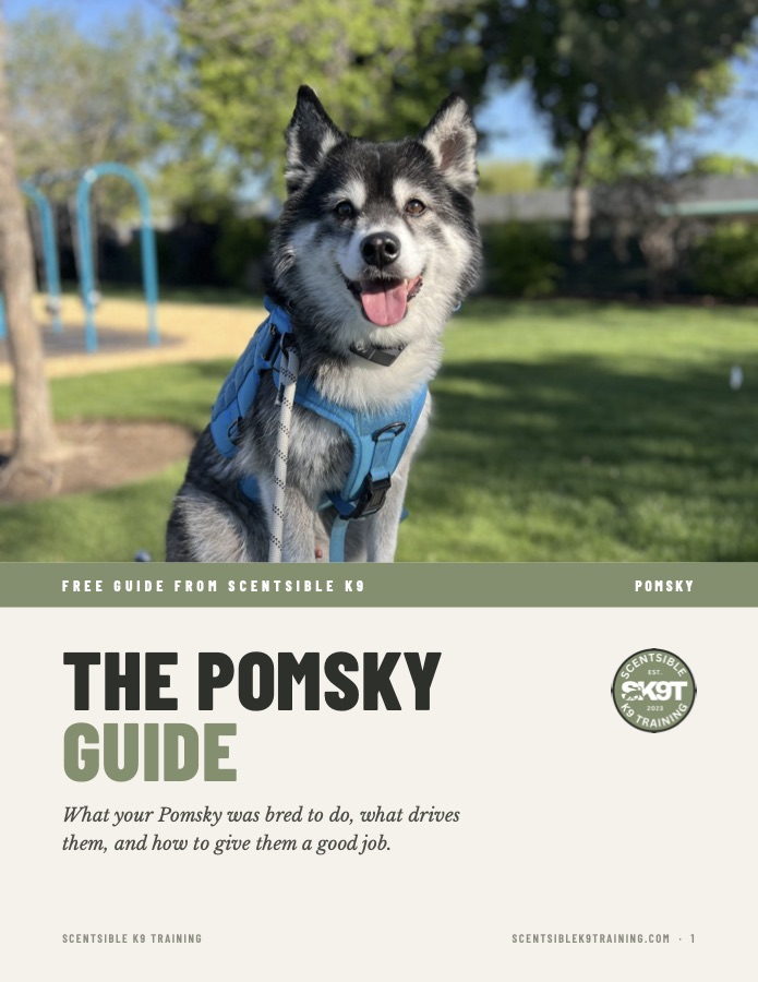 Cover of the free Scentsible K9 Pomsky guide