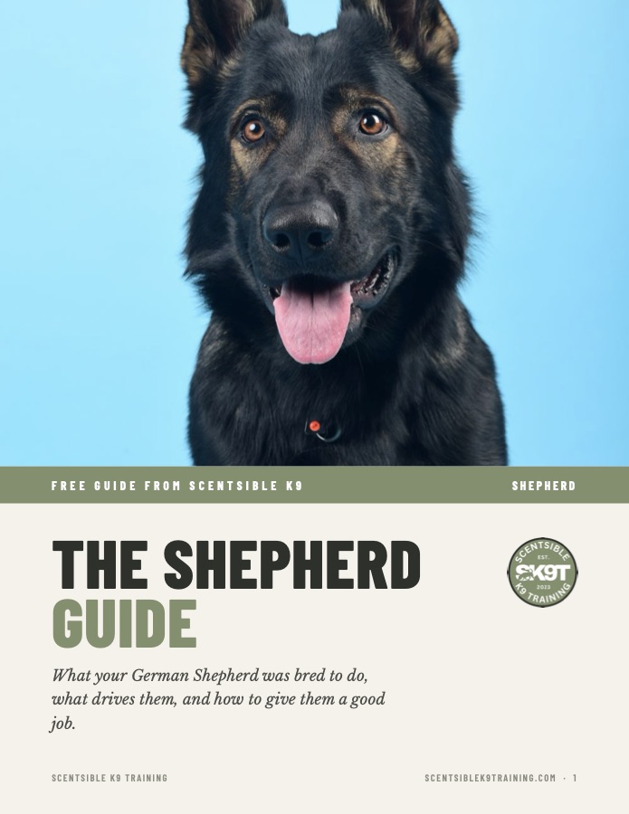 Cover of the free Scentsible K9 Shepherd guide