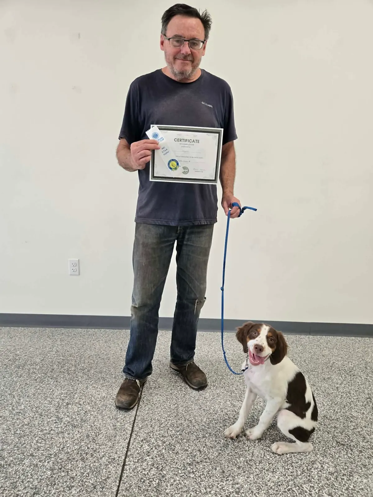 A brittany puppy holding a sit beside their handler and a STAR Puppy certificate