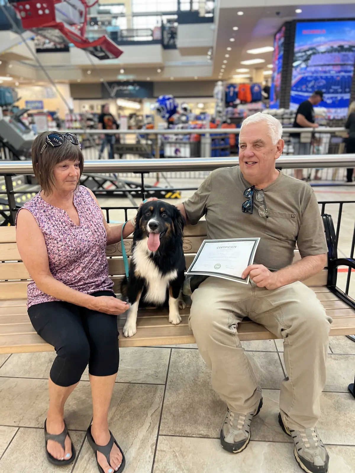 Two handlers on a bench at Scheels with their aussie between them and a graduation certificate