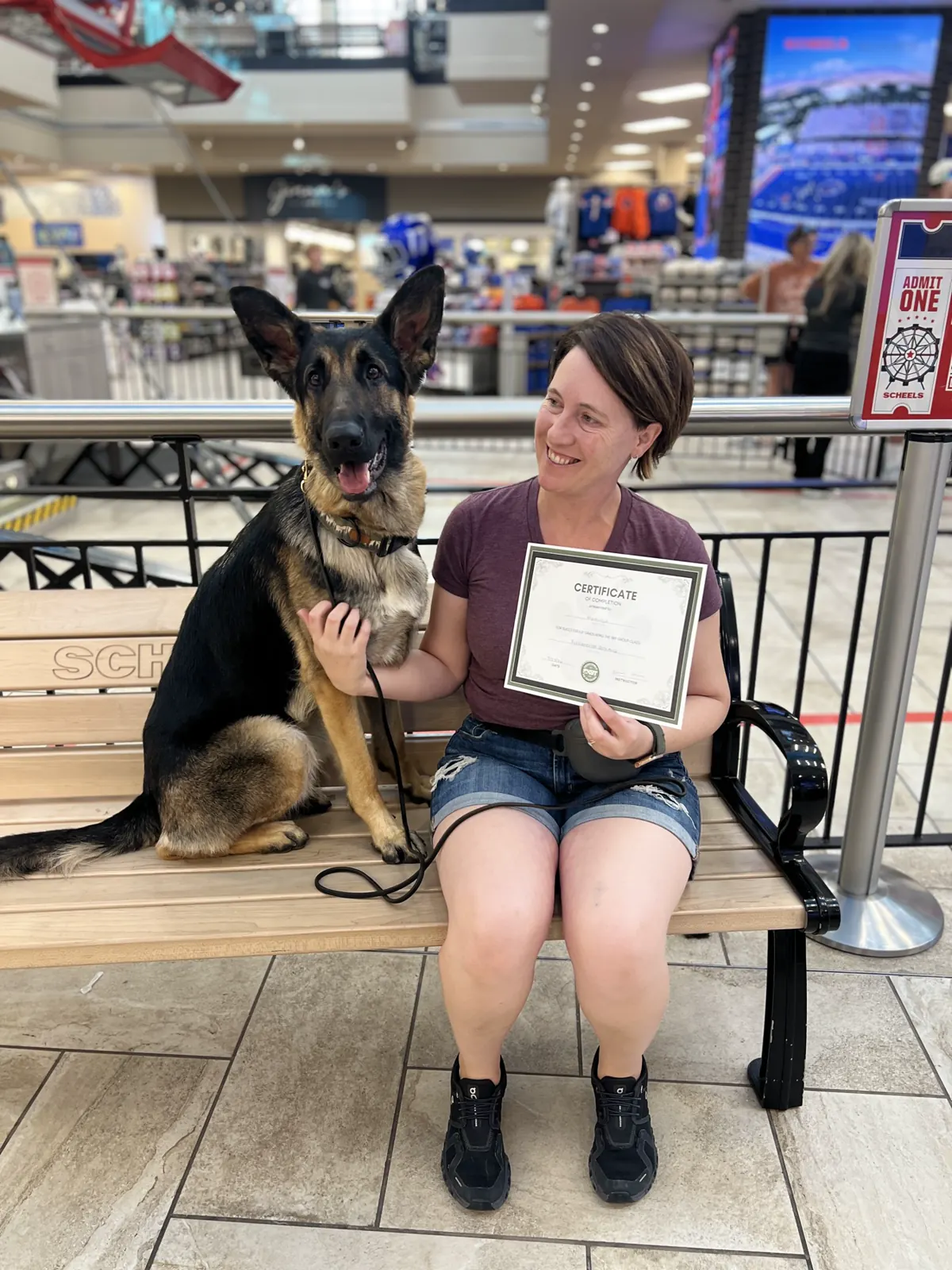 A German shepherd sitting beside their handler on the Scheels bench with a graduation certificate