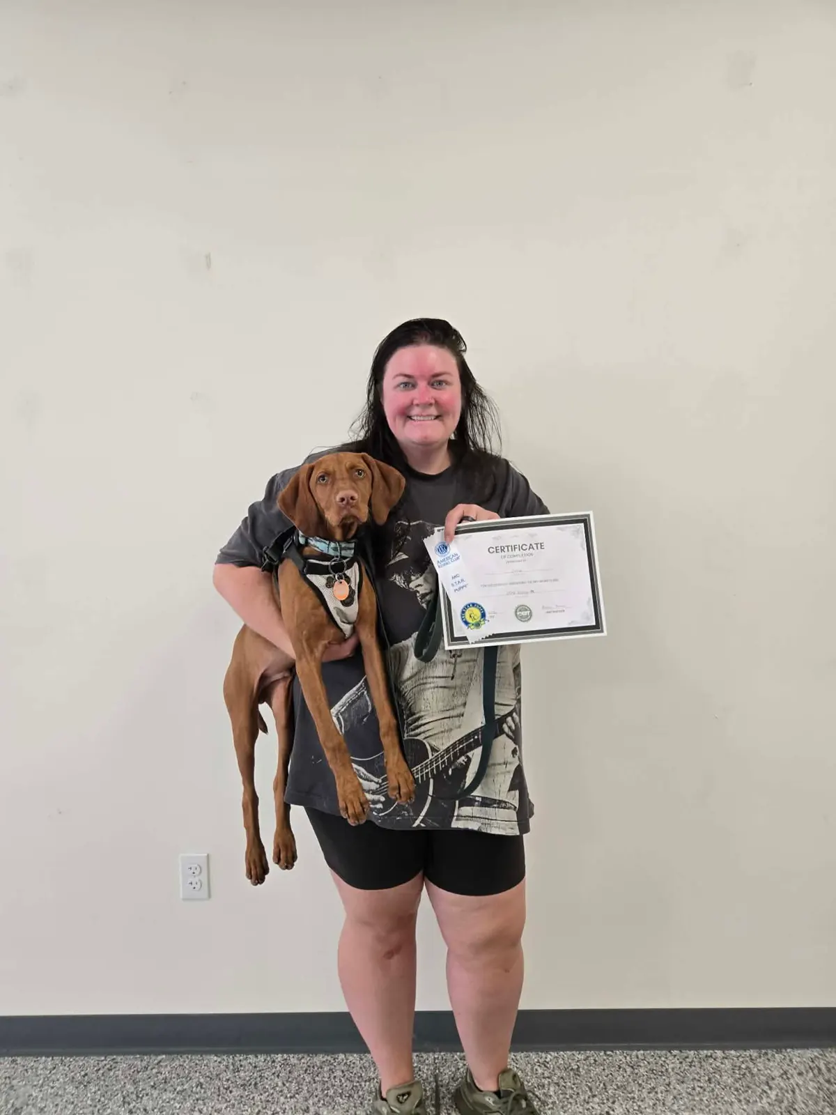 A vizsla being carried by their handler with a graduation certificate held up