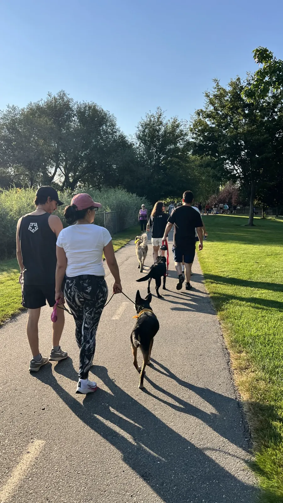 Handlers walking away down a paved path with their dogs staying at their sides
