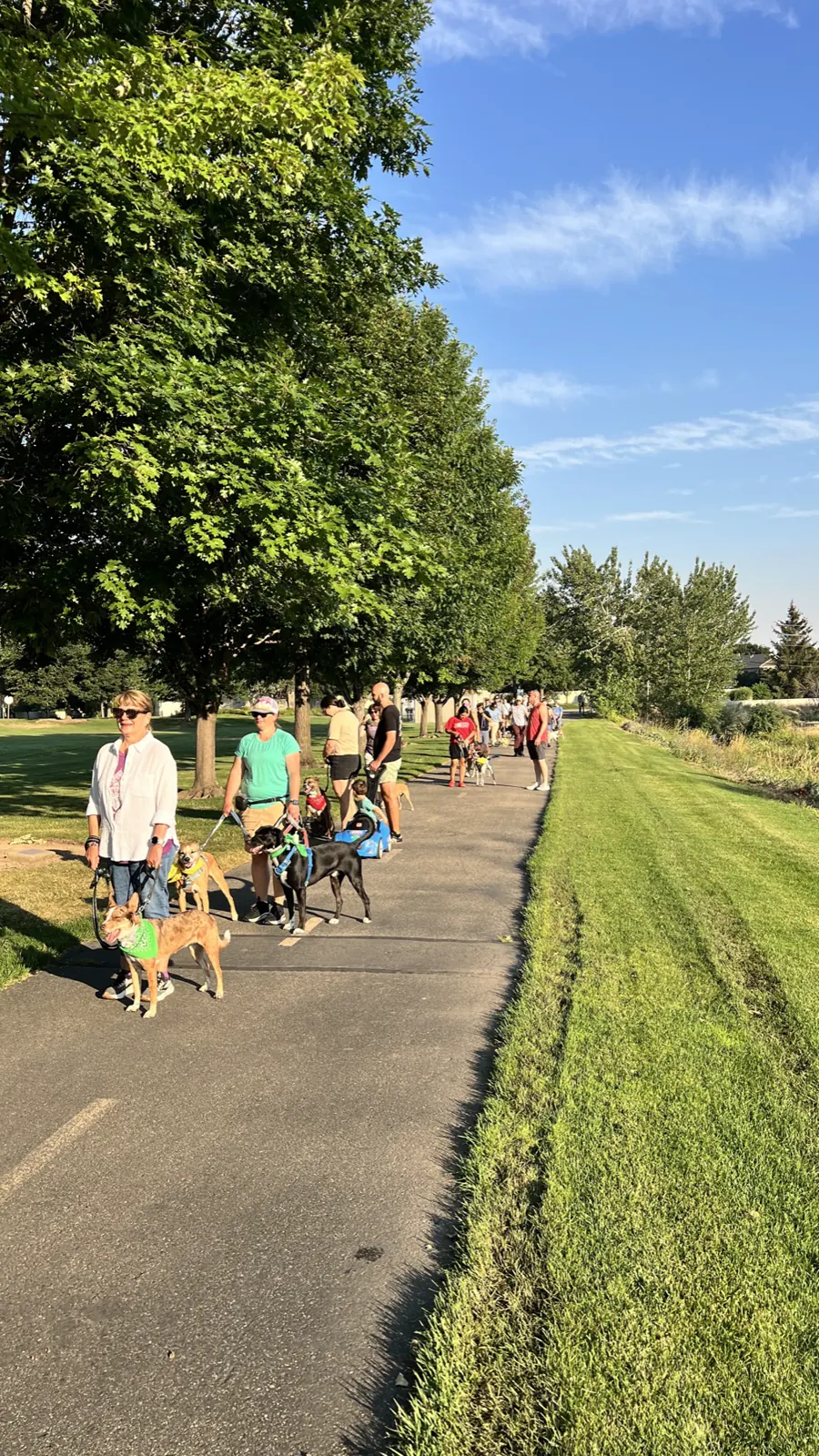 A long line of dogs and handlers strung out along a paved greenbelt path on a Scentsible K9 pack walk