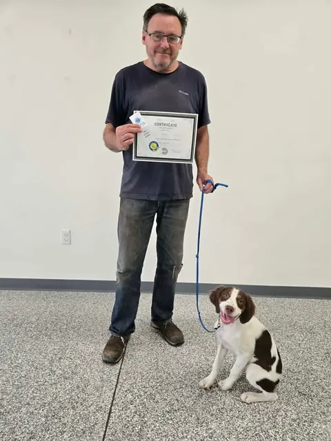 A brittany puppy holding a sit beside their handler and a STAR Puppy certificate