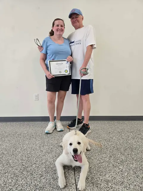 A golden retriever puppy lying flat at their handlers' feet with a graduation certificate