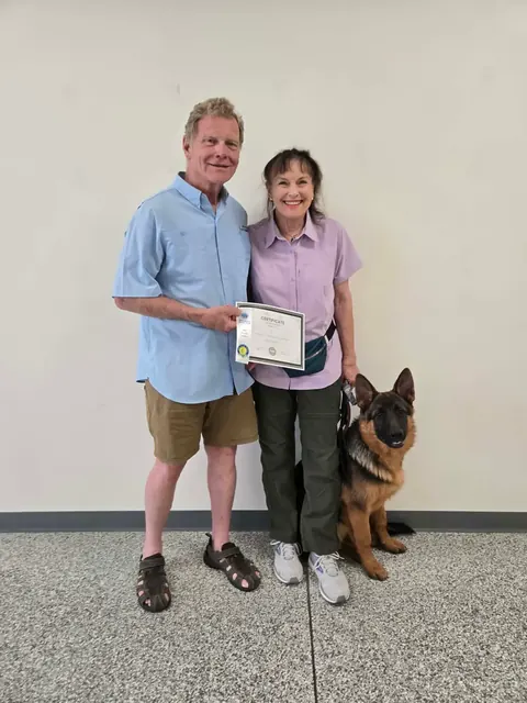 A German shepherd with their two handlers and an AKC STAR Puppy certificate