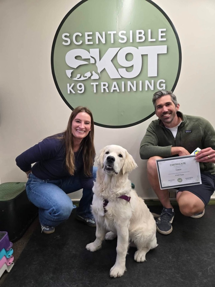 A client and their golden retriever with a graduation certificate