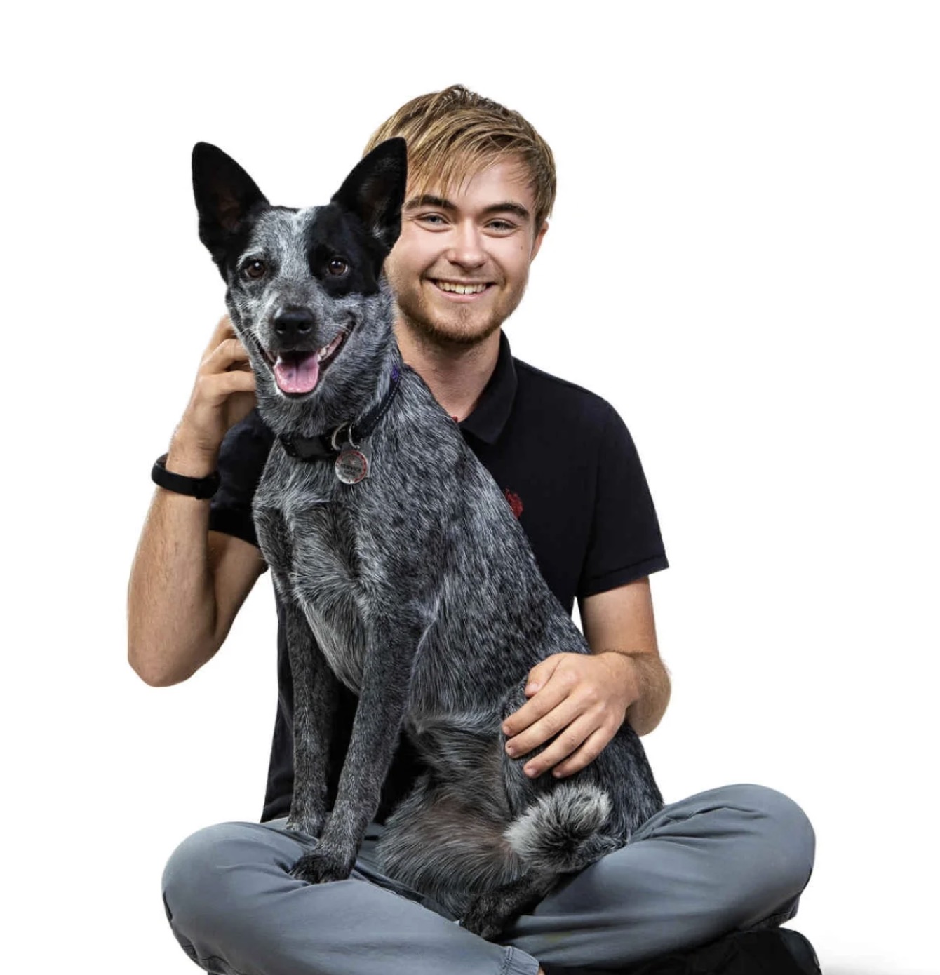 Neo Blake, Trainer at Scentsible K9 Training, sitting with a blue heeler