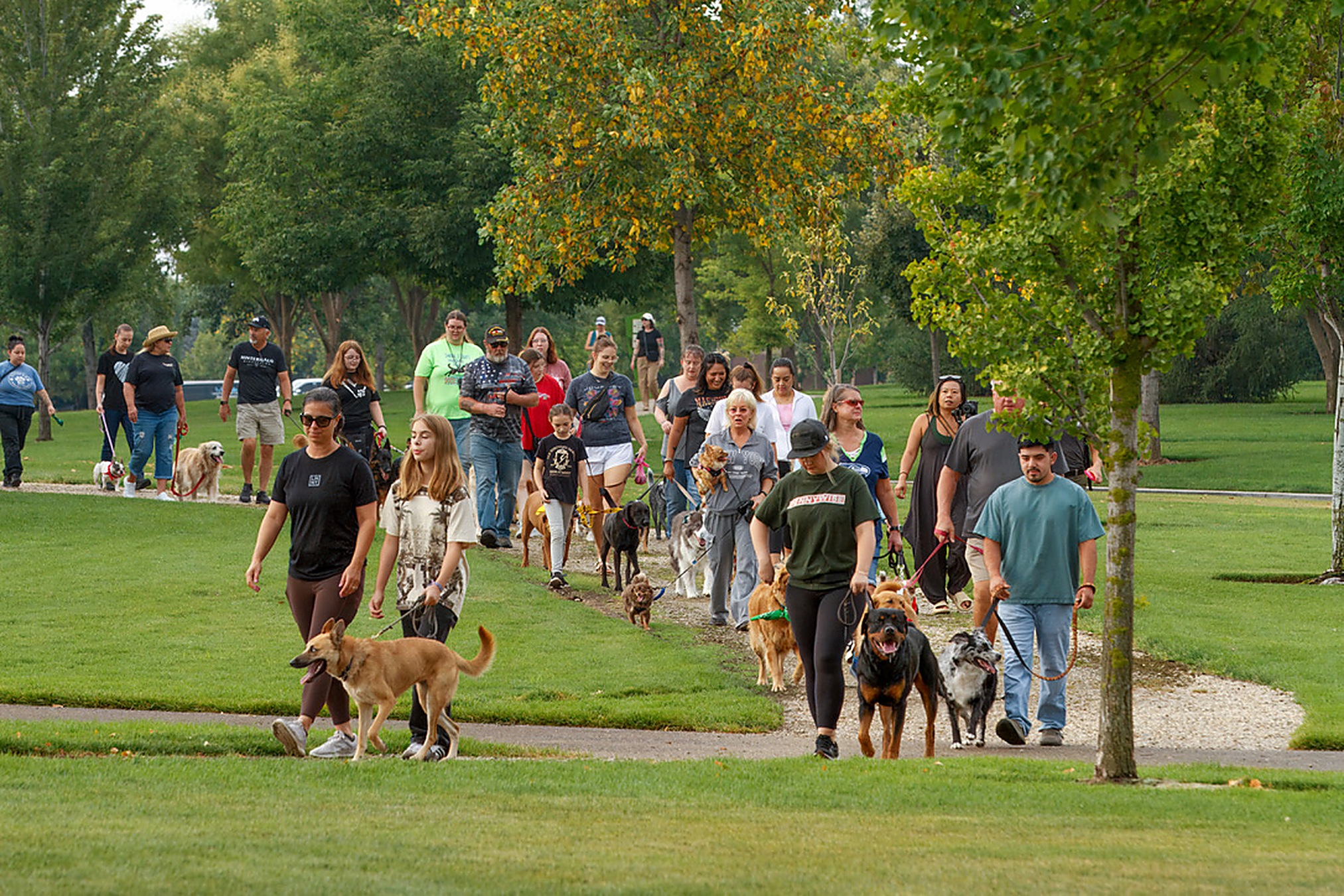 A long line of clients and dogs on a Scentsible K9 pack walk